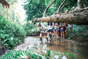 BIB: 
                            <button type="button" onclick="openModal(25472597)" class="btn btn-primary btn-sm float-right btn-popup" data-toggle="modal" data-target=".modal-high-quality">
                        <i class="fas fa-shopping-cart"></i> Add to Cart
                    </button>
                                            <button type="button" onclick="isThisMe(25472597, true)" class="btn btn-success btn-sm float-right btn-popup btn-isme hidden" data-toggle="tooltip" data-placement="bottom" title="นี่คือรูปของคุณใช่ไหม คลิกที่นี่เพื่อเอาเข้าอัลบั้ม">
                        <i class="fas fa-plus"></i> Add to album
                    </button>
                    <button type="button" onclick="isThisMe(25472597, false)" class="btn btn-warning btn-sm float-right btn-popup btn-isnotme hidden">
                        <i class="fas fa-ban"></i> Remove from album
                    </button>